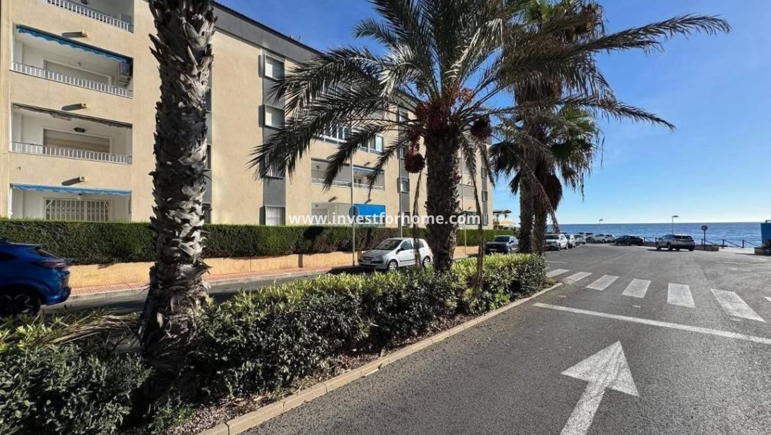 Reventa - Apartamento - Torrevieja - Punta prima
