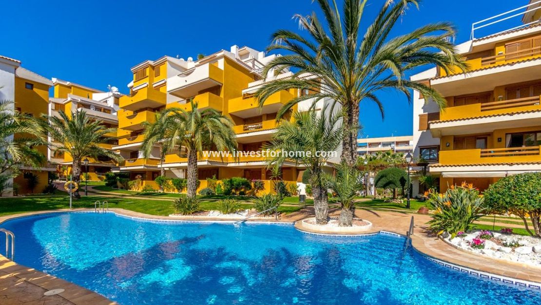 Reventa - Apartamento - Torrevieja - Punta prima