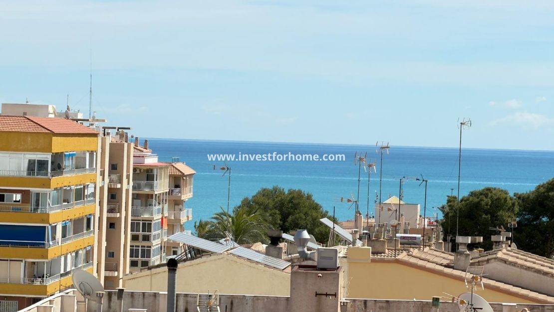 Reventa - Apartamento - Torrevieja - Punta prima