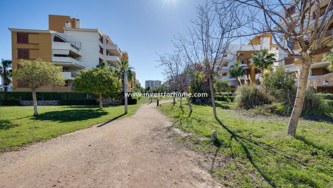 Reventa - Apartamento - Torrevieja - Punta prima