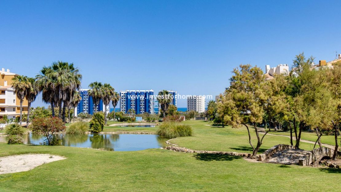 Reventa - Apartamento - Torrevieja - Punta prima