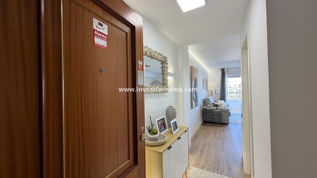 Reventa - Apartamento - Torrevieja - Punta prima