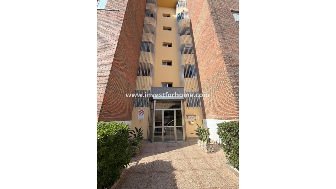 Reventa - Apartamento - Torrevieja - Punta prima