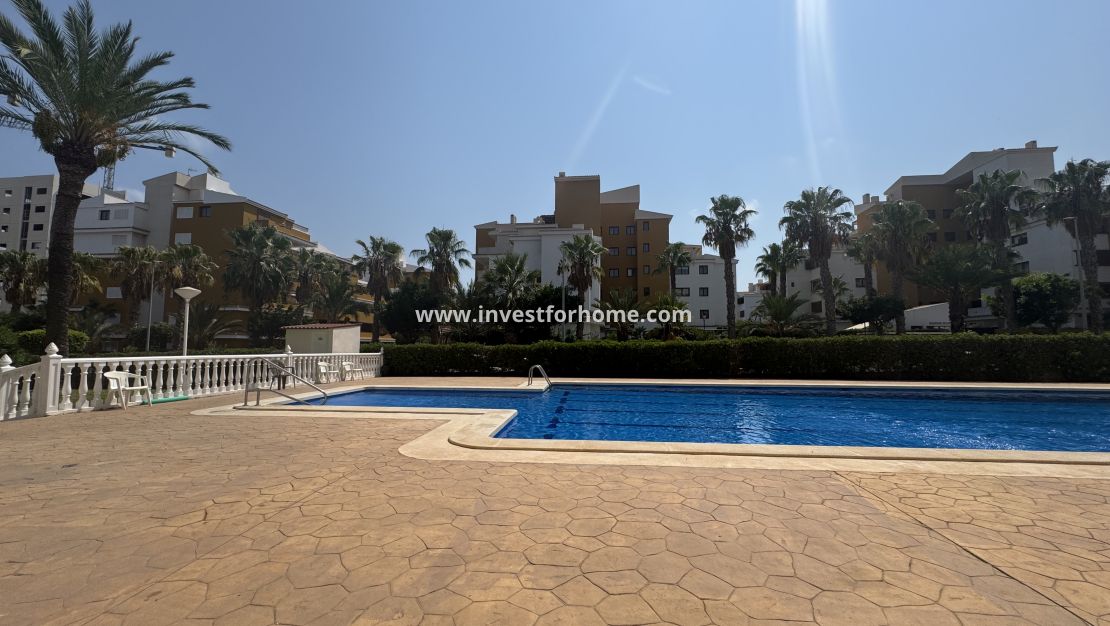 Reventa - Apartamento - Torrevieja - Rocio Del Mar