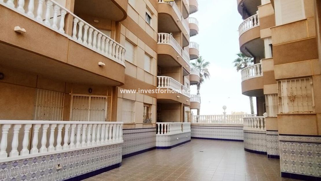 Reventa - Apartamento - Torrevieja - Torrelamata - La Mata