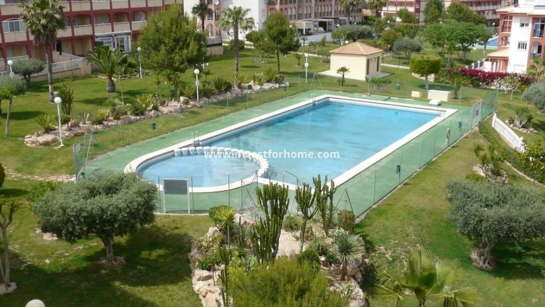 Reventa - Apartamento - Torrevieja - Torrelamata - La Mata