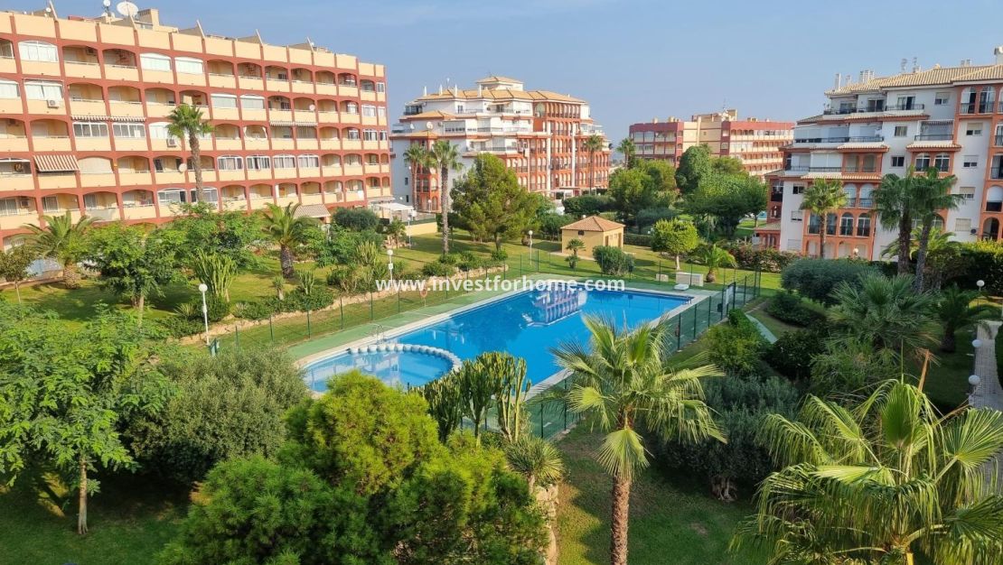 Reventa - Apartamento - Torrevieja - Torrelamata - La Mata