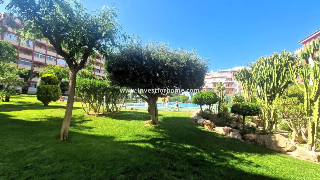 Reventa - Apartamento - Torrevieja - Torrelamata - La Mata