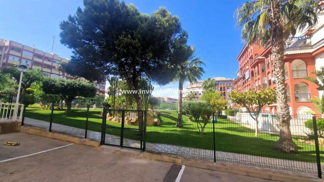 Reventa - Apartamento - Torrevieja - Torrelamata - La Mata