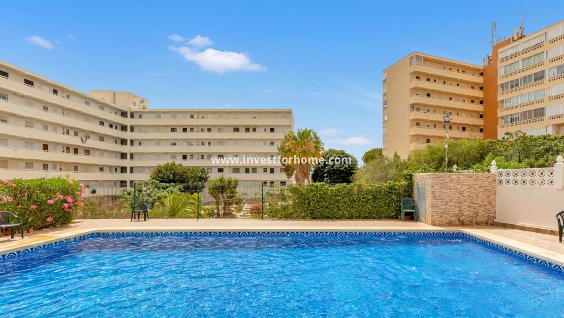 Reventa - Apartamento - Torrevieja - Torrelamata - La Mata