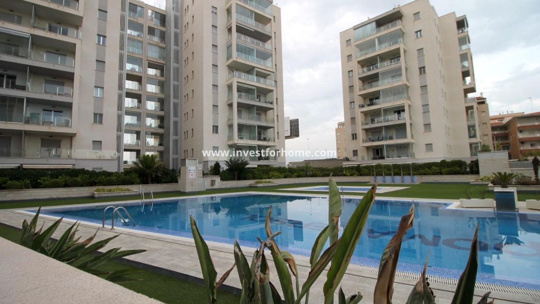 Reventa - Apartamento - Torrevieja - Torrelamata - La Mata