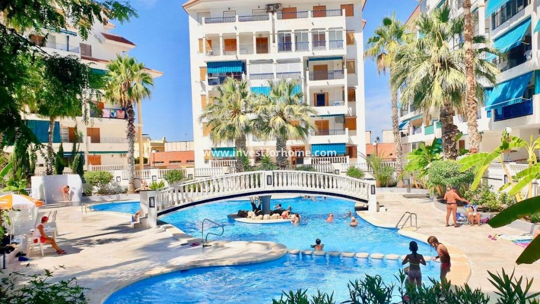 Reventa - Apartamento - Torrevieja - Torrelamata - La Mata