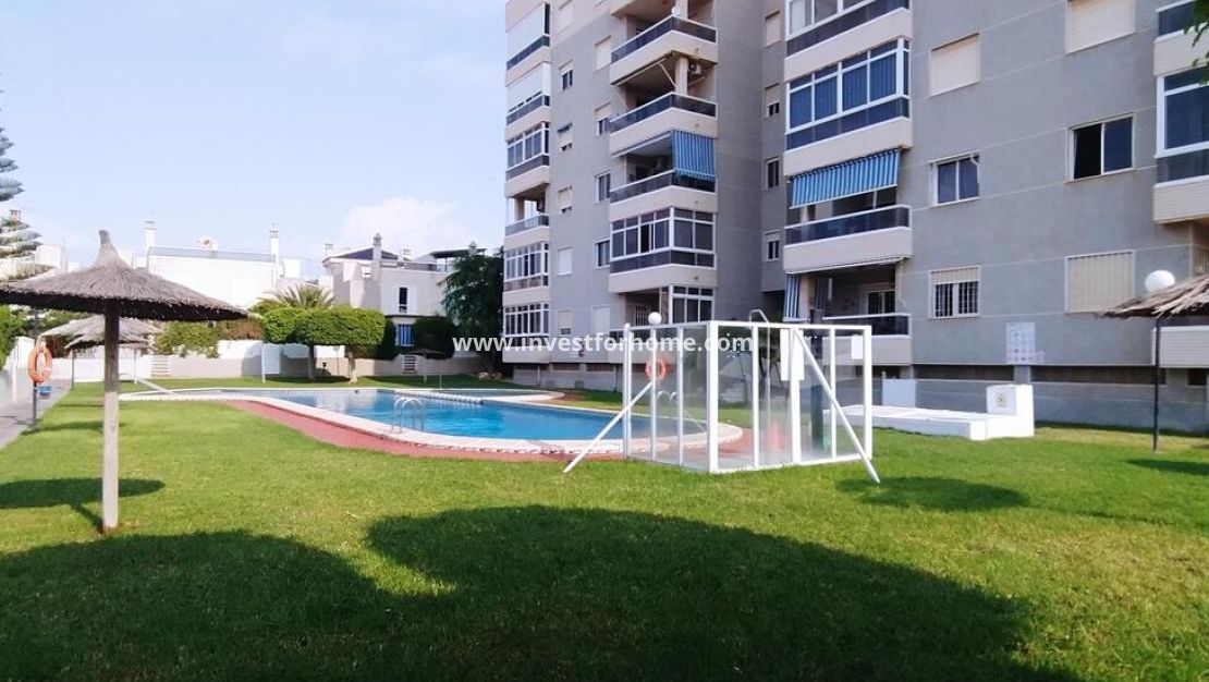 Reventa - Apartamento - Torrevieja - Torrelamata - La Mata