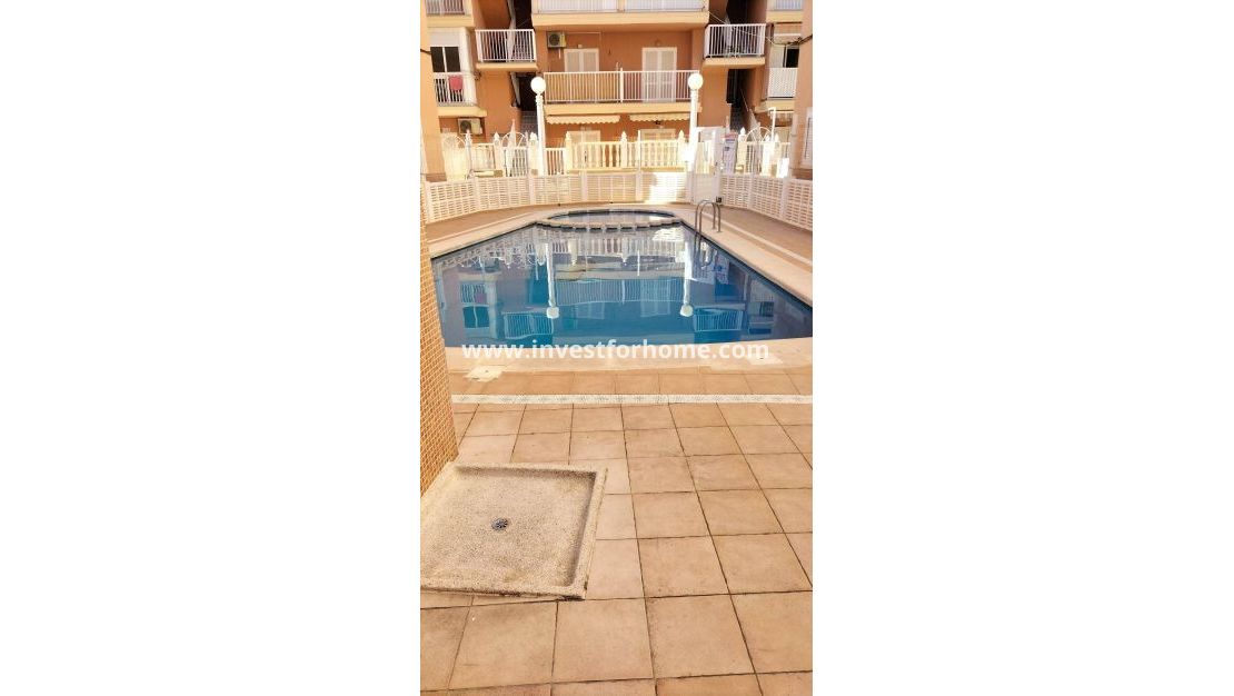 Reventa - Apartamento - Torrevieja - Torrelamata - La Mata