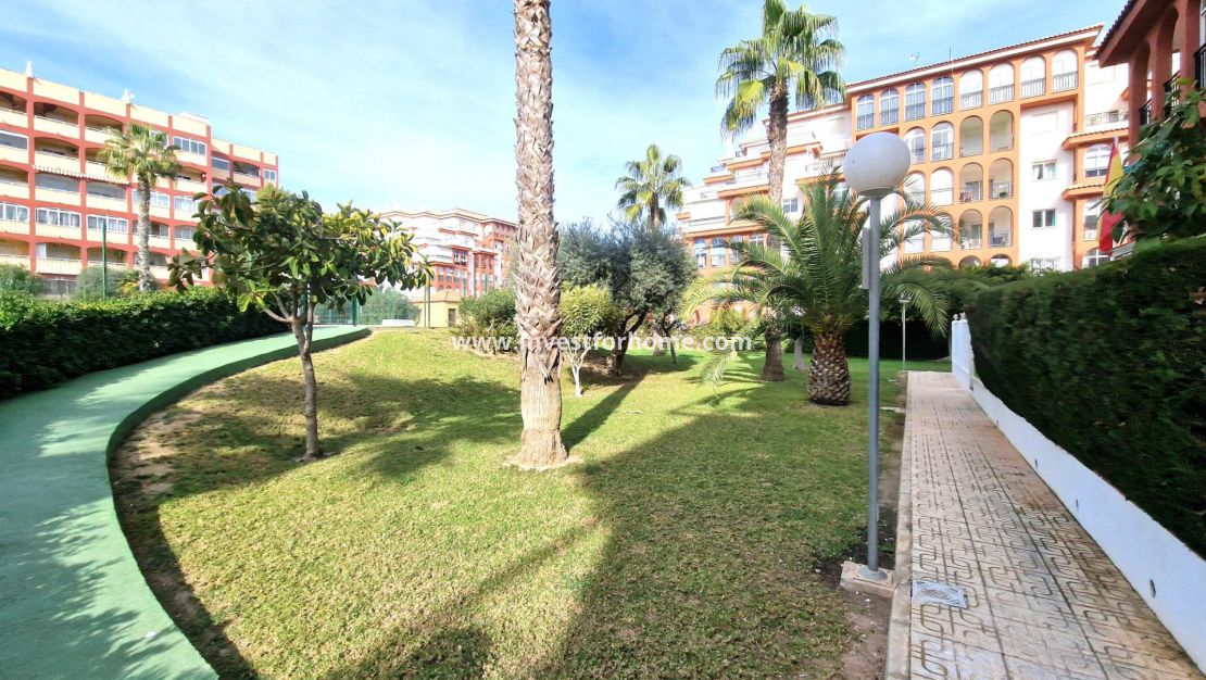 Reventa - Apartamento - Torrevieja - Torrelamata - La Mata