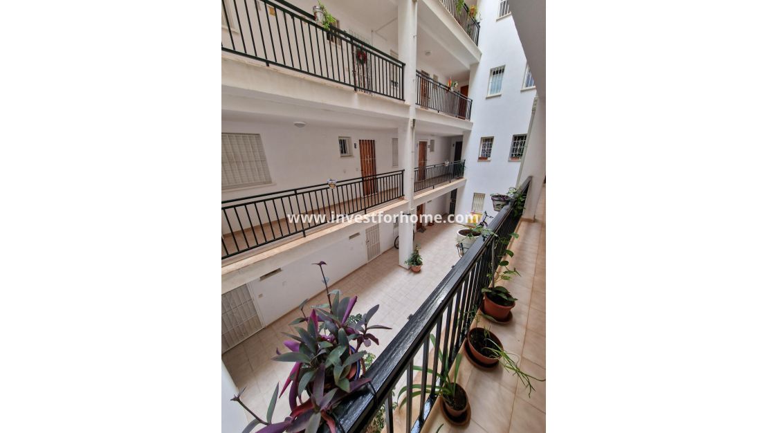 Reventa - Apartamento - Torrevieja - Torrelamata - La Mata