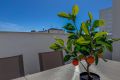 Reventa - Apartamento - Torrevieja
