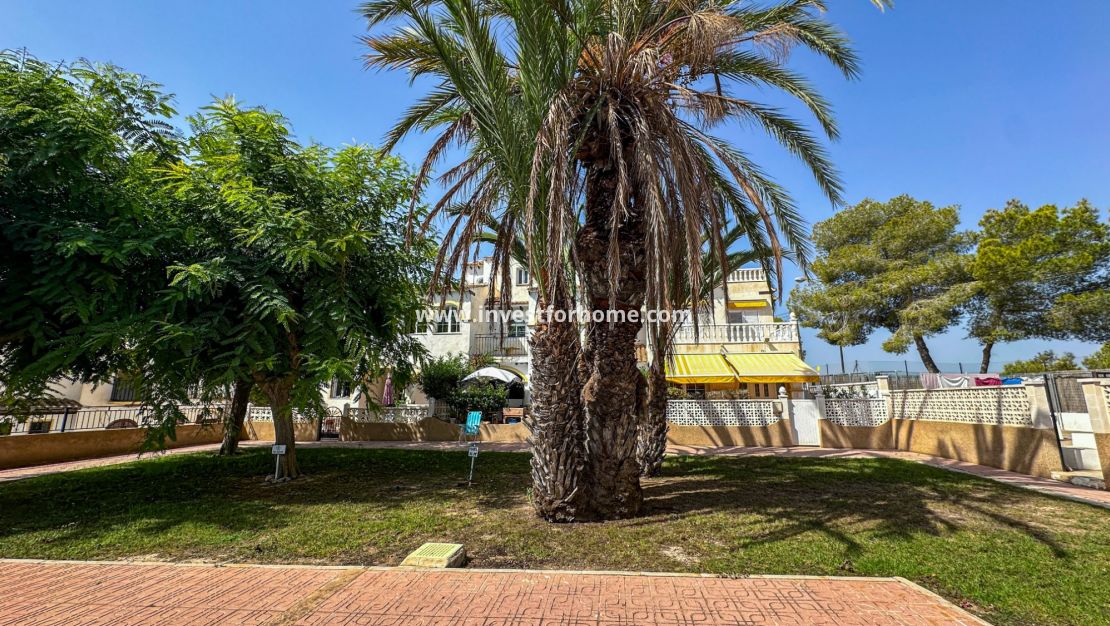 Reventa - Bungalow - San Miguel de Salinas - Inland