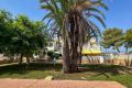 Reventa - Bungalow - San Miguel de Salinas - Inland