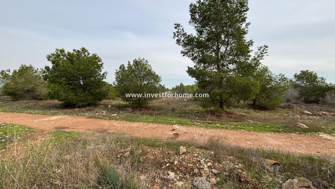 Reventa - Bungalow - Torrevieja - La Siesta - El Salado - Torreta