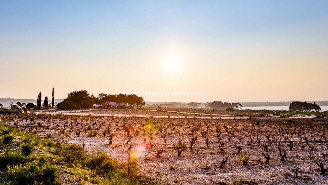 Reventa - Bungalow - Torrevieja - La Siesta - El Salado - Torreta