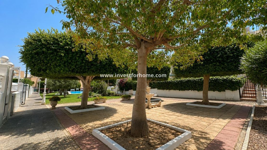 Reventa - Bungalow - Torrevieja - Torrelamata - La Mata