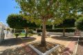 Reventa - Bungalow - Torrevieja - Torrelamata - La Mata