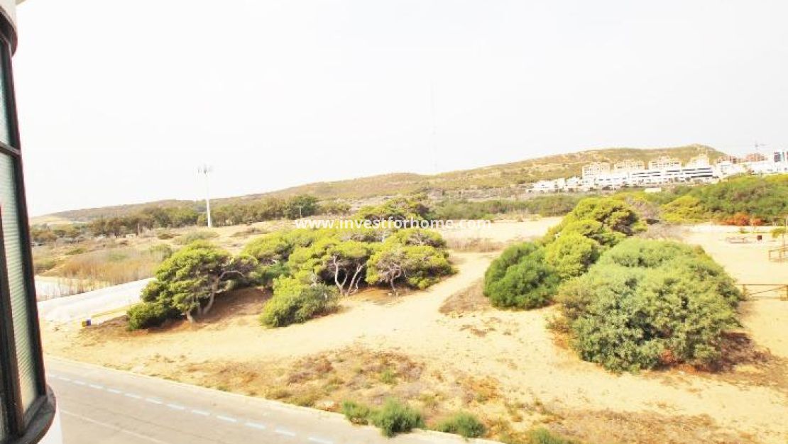 Reventa - Casa - Guardamar del Segura - Benamor