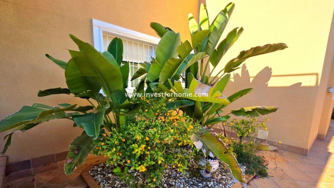 Reventa - Casa - Orihuela Costa - Altos De Campoamor
