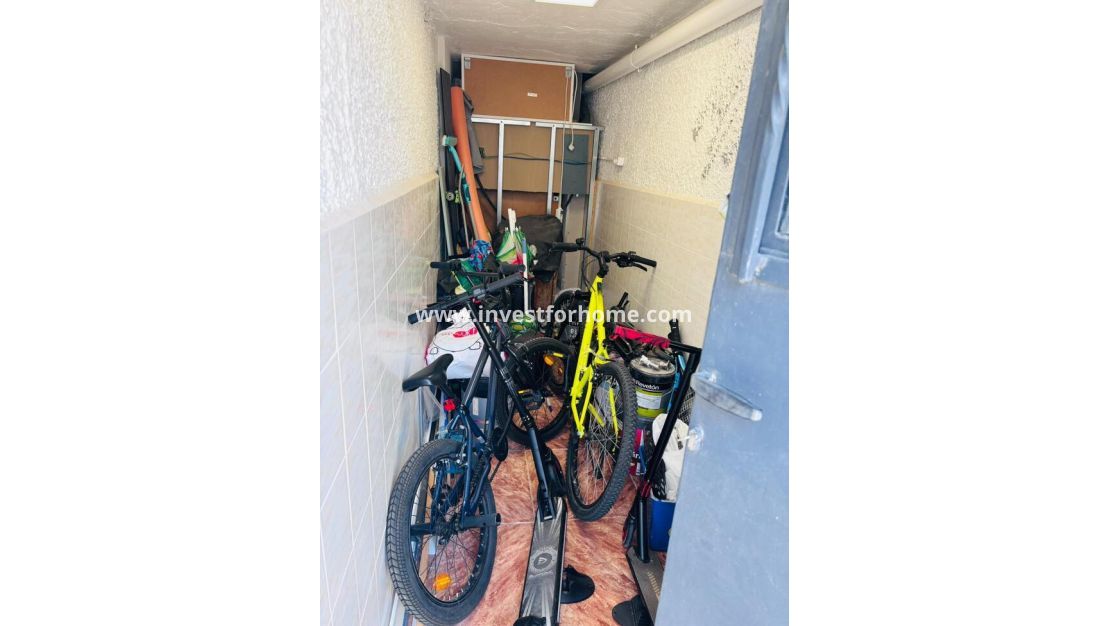 Reventa - Casa - San Miguel de Salinas - Inland