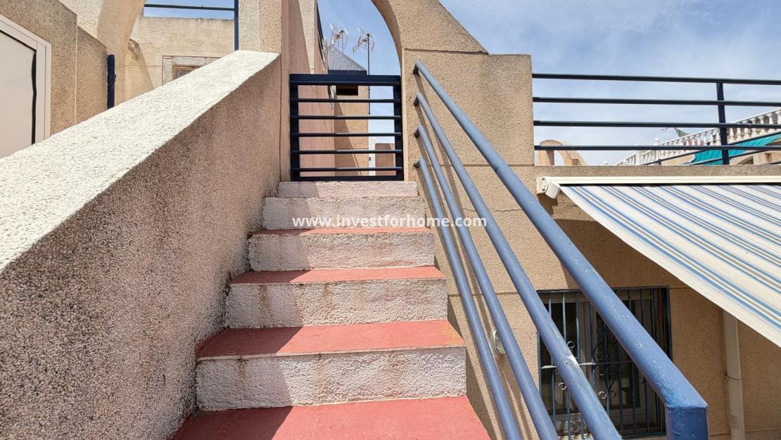 Reventa - Casa - Torrevieja - Carrefour
