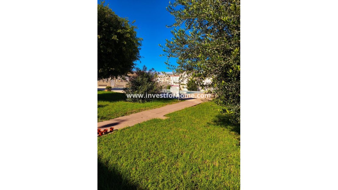 Reventa - Casa - Torrevieja - Centro