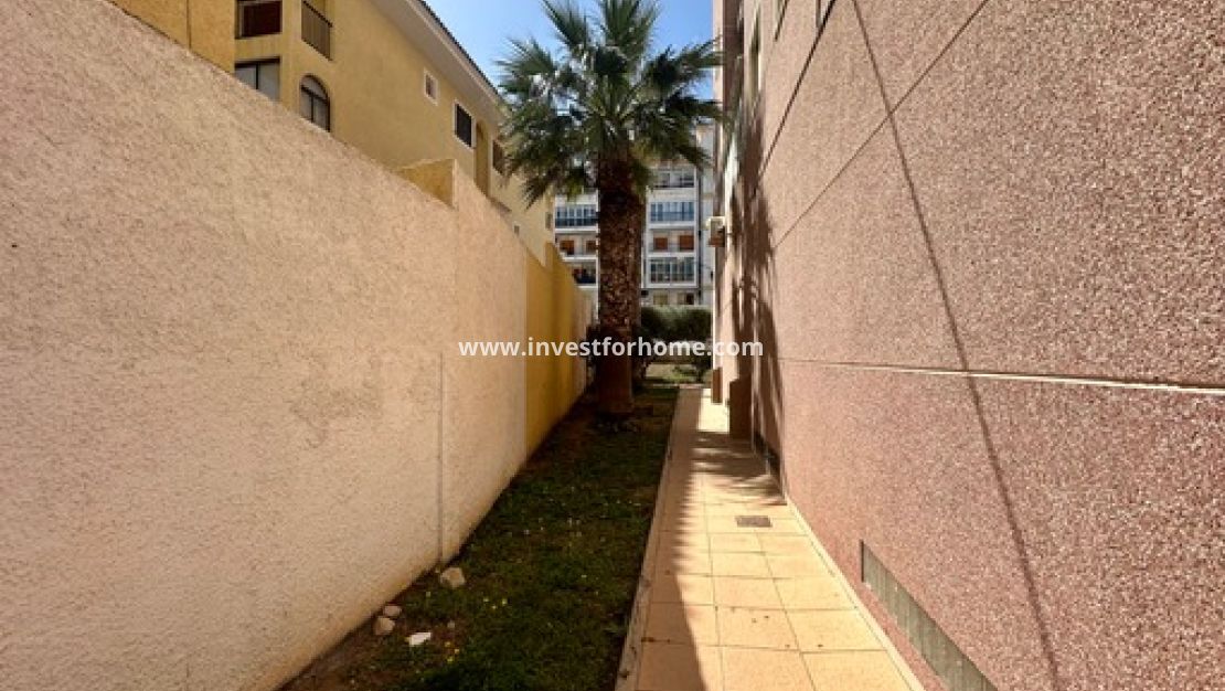 Reventa - Casa - Torrevieja - Costa Blanca