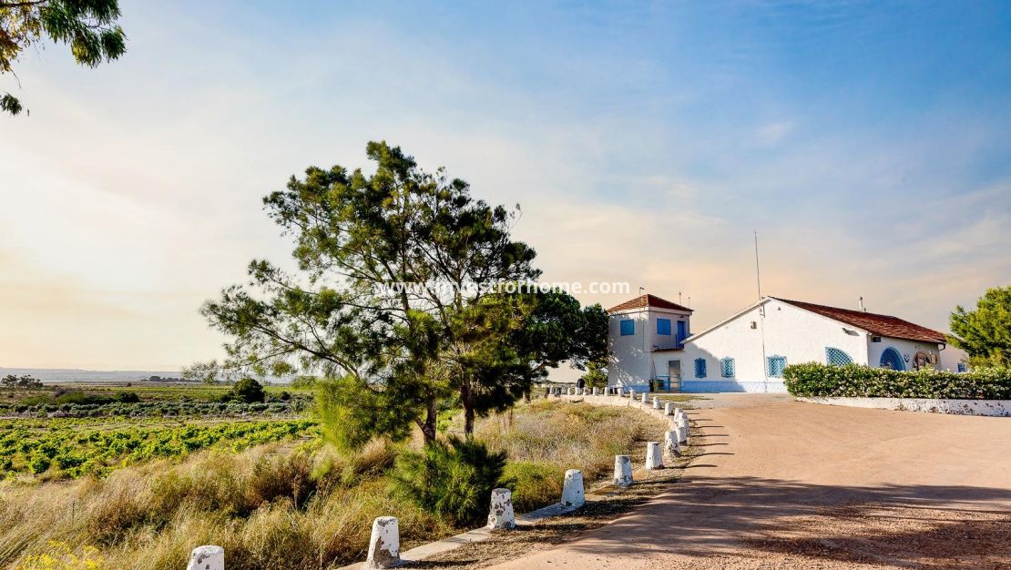 Reventa - Casa - Torrevieja - La Siesta-El Chaparral