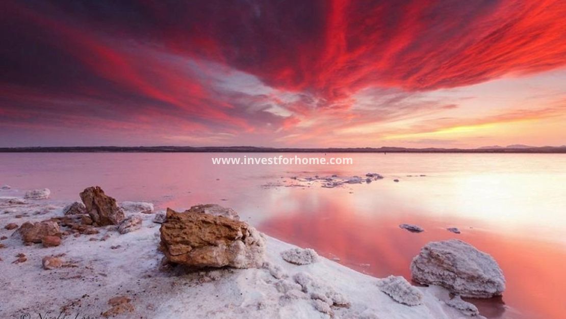 Reventa - Casa - Torrevieja - La Siesta-El Chaparral