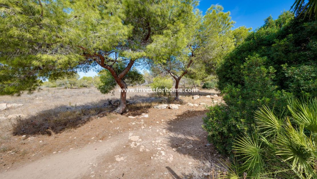 Reventa - Casa - Torrevieja - La Siesta - El Salado - Torreta