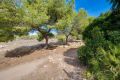 Reventa - Casa - Torrevieja - La Siesta - El Salado - Torreta
