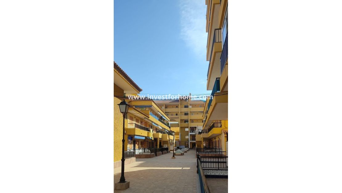 Reventa - Casa - Torrevieja - Los Europeos