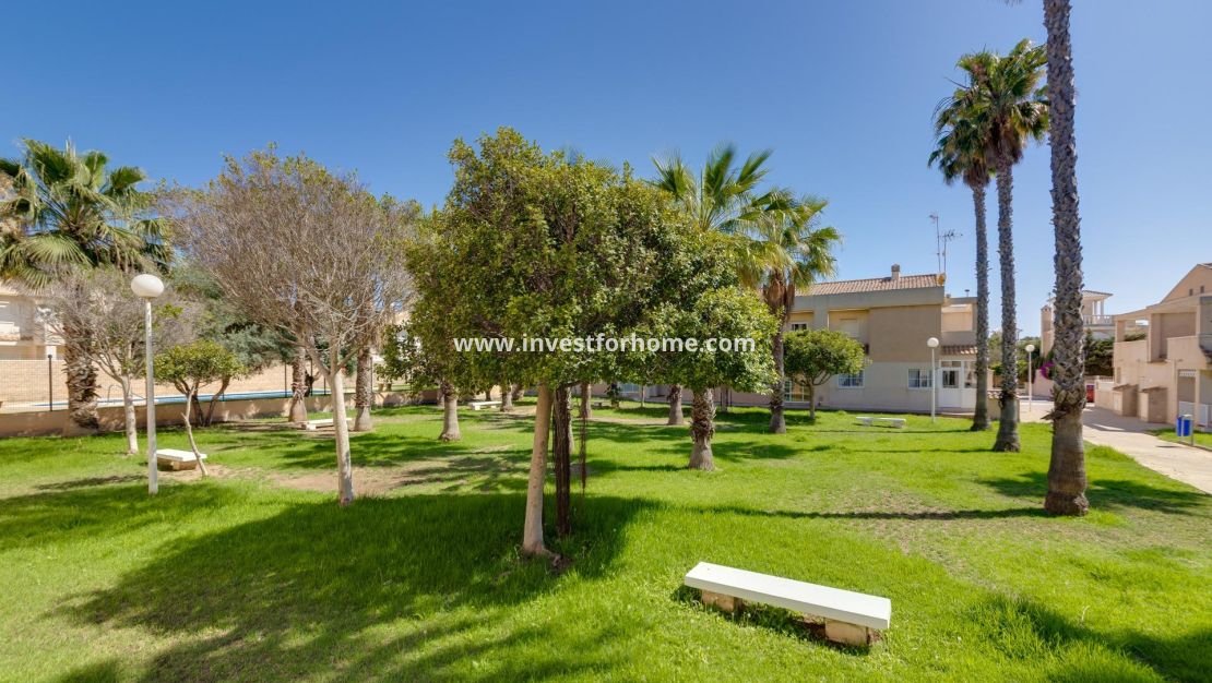 Reventa - Casa - Torrevieja - Nueva Torrevieja - Aguas Nuevas