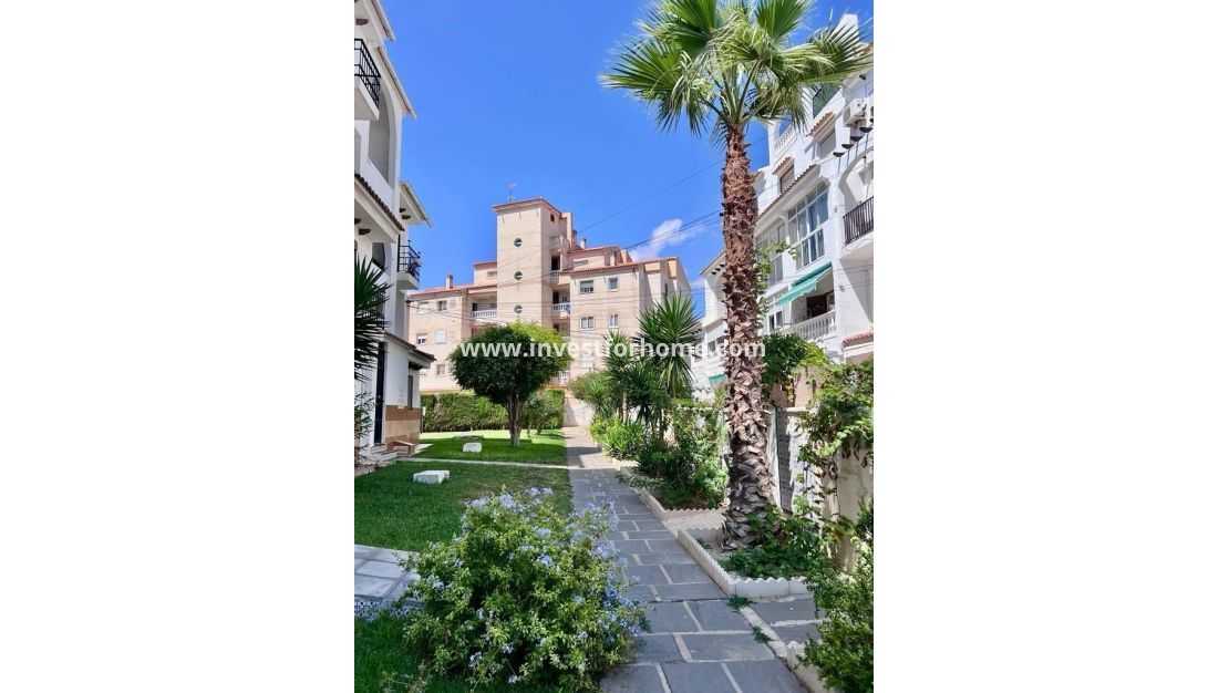 Reventa - Casa - Torrevieja - Playa del Cura
