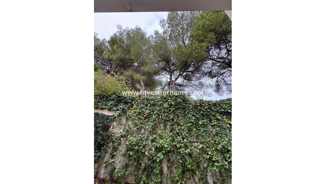 Reventa - Casa - Torrevieja - Punta prima