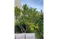 Reventa - Casa - Torrevieja - Punta prima
