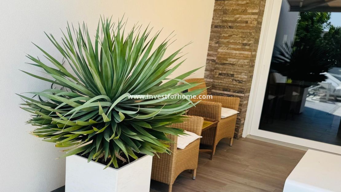 Reventa - Chalet - Algorfa - Club De Golf La Finca