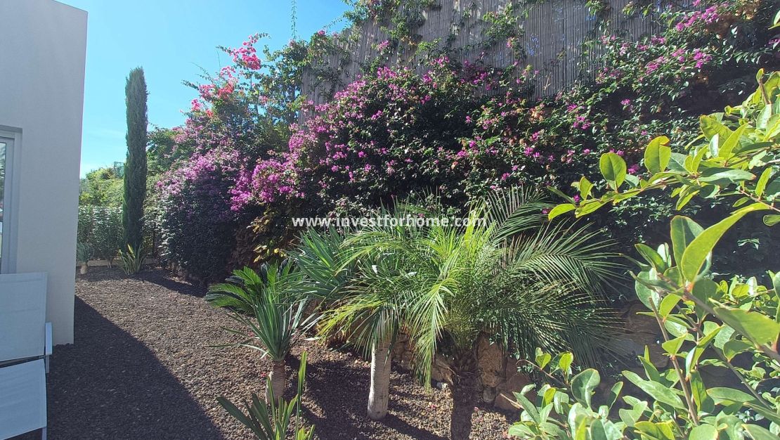 Reventa - Chalet - Algorfa - Inland