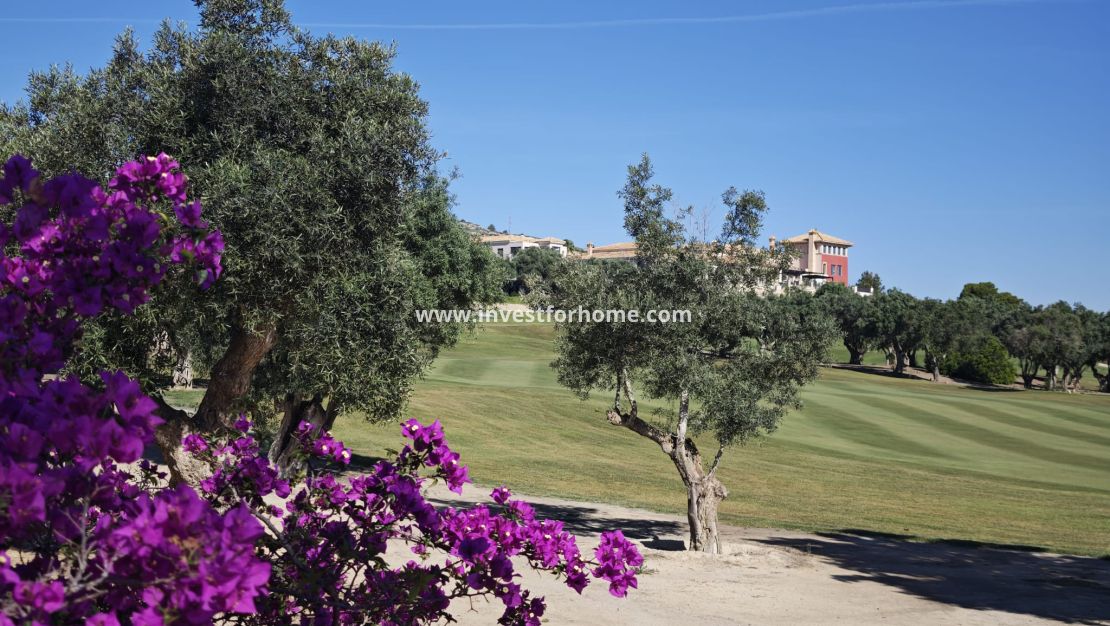 Reventa - Chalet - Algorfa - Inland