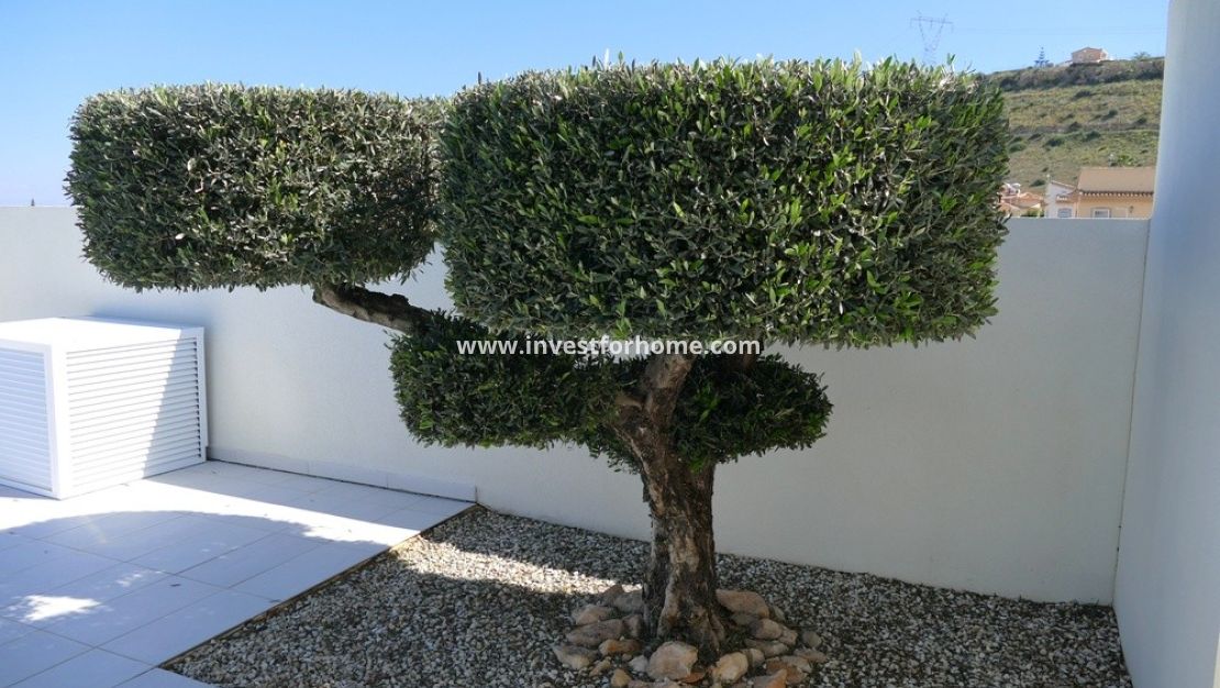 Reventa - Chalet - Benijofar - Costa Blanca