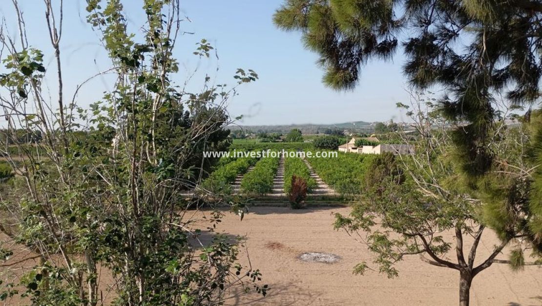 Reventa - Chalet - Daya Nueva - Costa Blanca