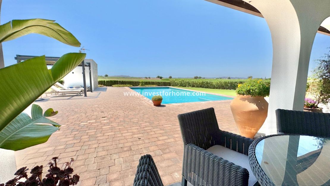 Reventa - Chalet - Dolores - Comunidad Valenciana