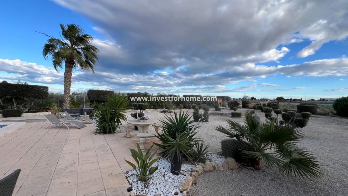 Reventa - Chalet - Dolores - Comunidad Valenciana