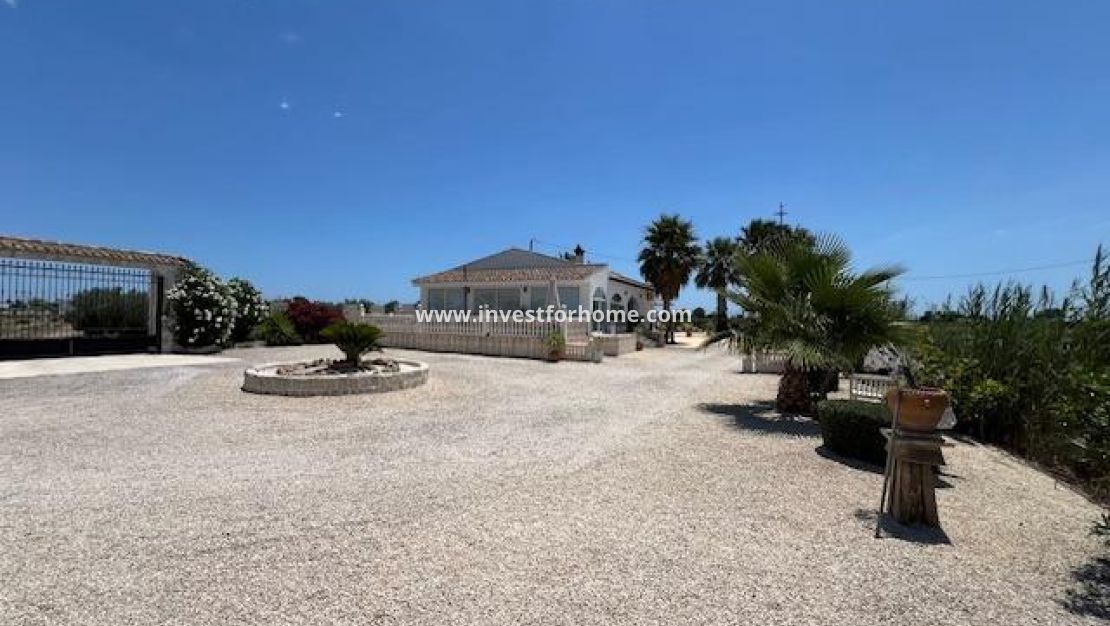 Reventa - Chalet - Dolores - Comunidad Valenciana